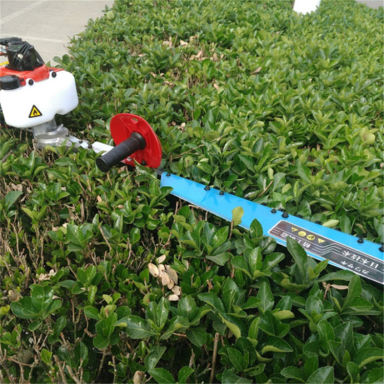 Hedge Trimmer