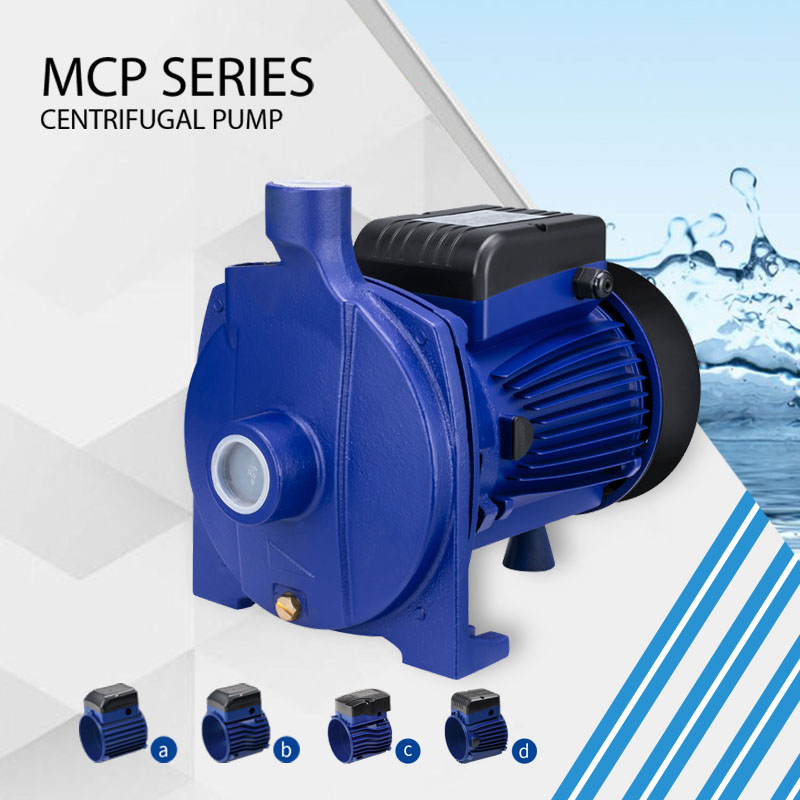 MCP series clean water pump for Sale