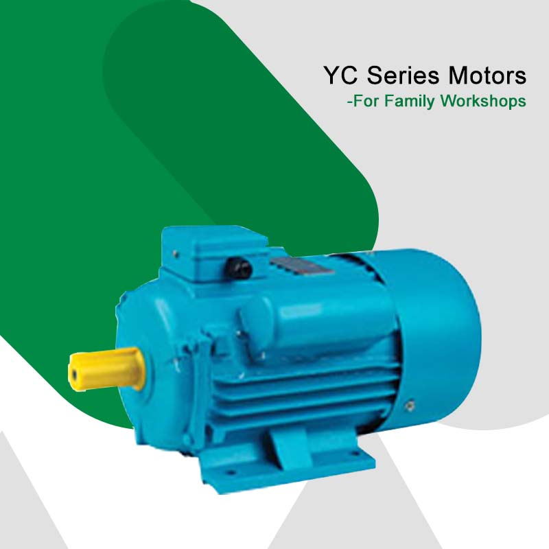 Single Phase Electrical Motor